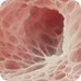 https://moov.health/wp-content/uploads/2025/12/stat-3.webp